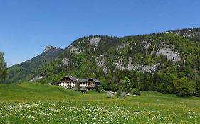 Urlauben Im Gruenen
